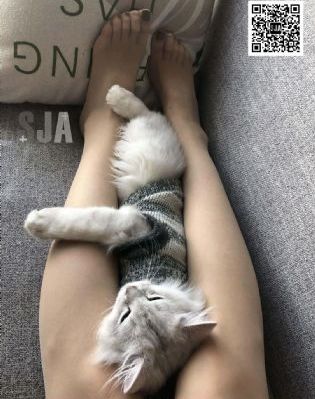 哺乳期色妇videos