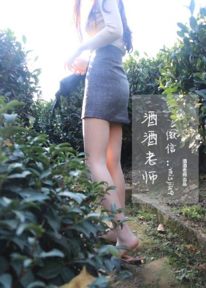 在线免费观看高清视频