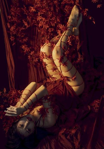 妻子结婚了免费完整版