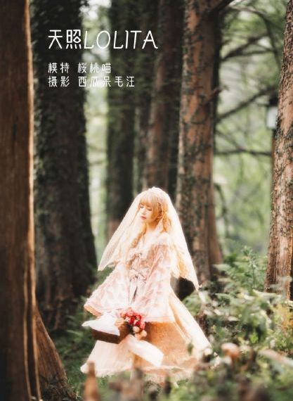 特战英雄榜电视剧全集在线观看