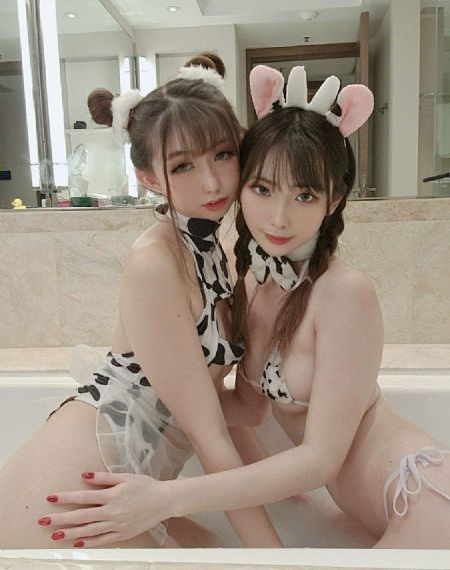 玫瑰故事免费观看完整版电视剧