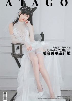 天泪传奇之凤凰无双