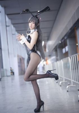 贤者之爱 电视剧